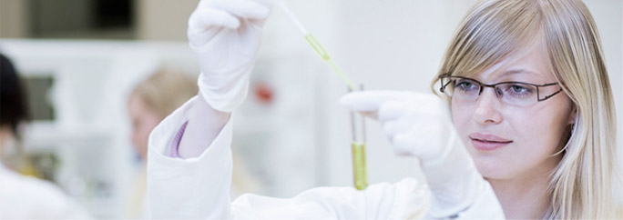 lab